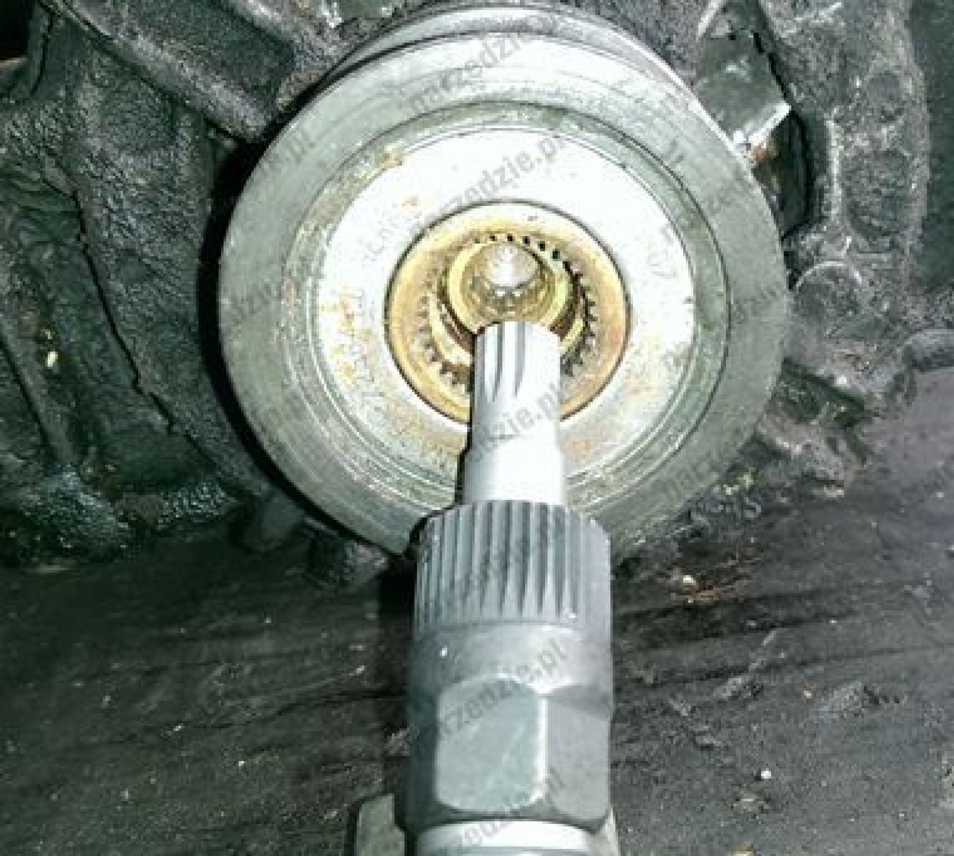 TOMA ALTERNADOR BOSCH M10 TOMA 33 DIENTES CONDOR - Imagen 3