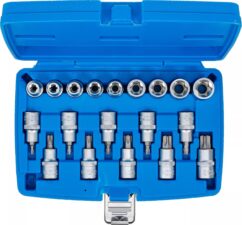 Llaves Torx Torx T30-T70 + vasos E10-E24, 1/2' 19 uds. BGS-Alemania